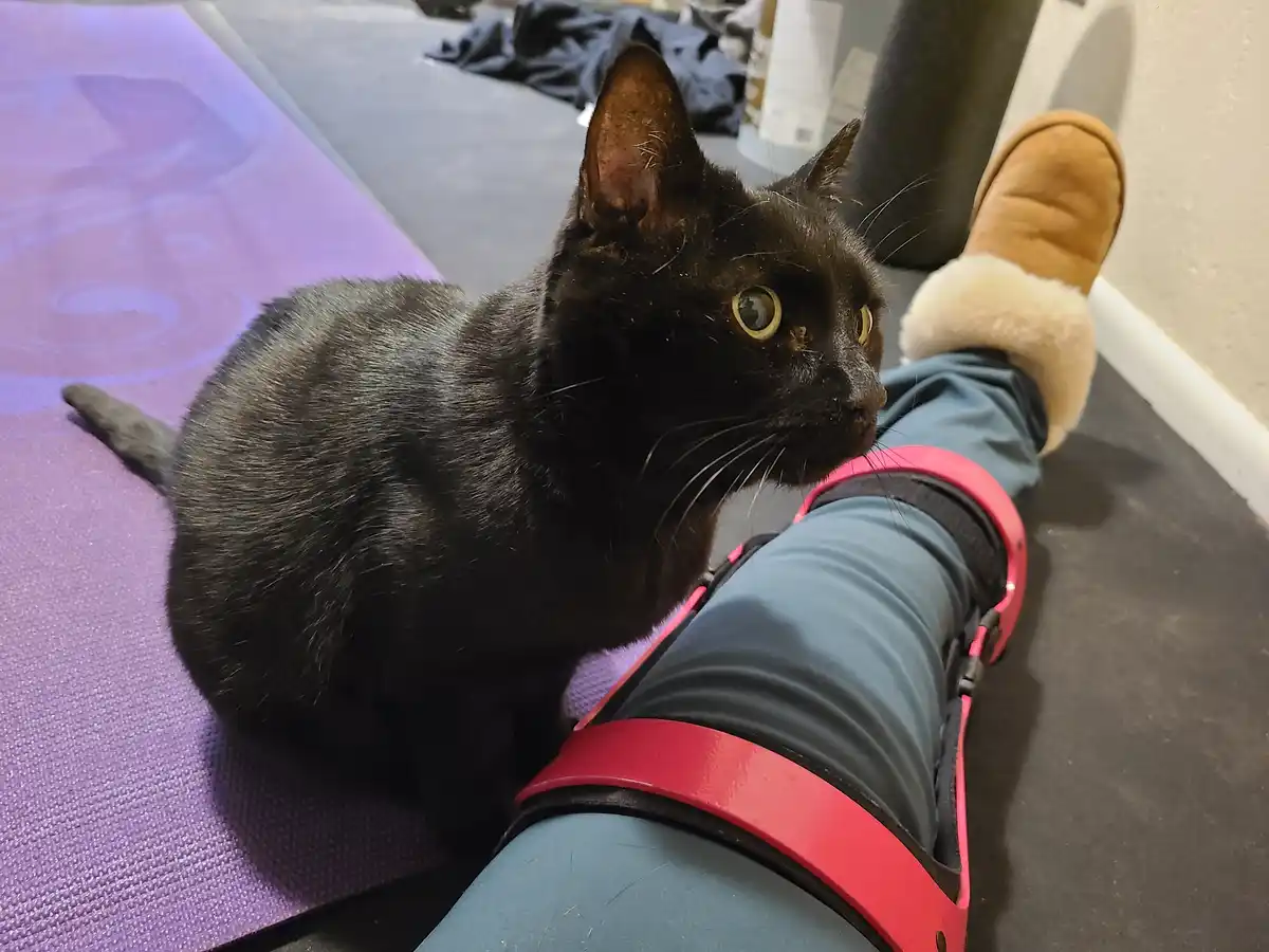 A black cat with wide, alert eyes sits on a purple yoga mat next to a person's leg, which is encased in a bright pink and…