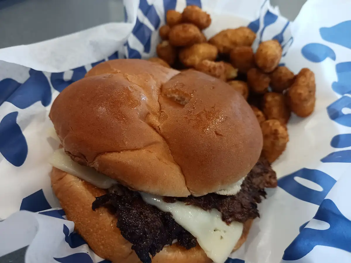 A close-up photo shows a sandwich in a soft bun with melted cheese and dark meat, served with tater tots on blue-and-white…