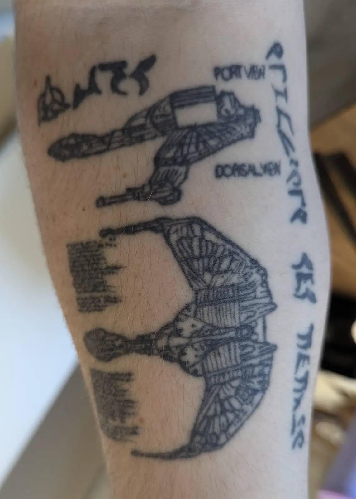 A close-up of a tattoo on a person's forearm showing a detailed technical drawing of a spaceship, labeled 'PORT VIEW' and…