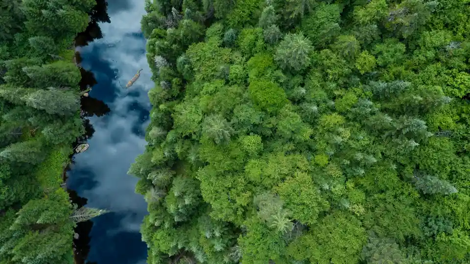 Wild and woody Quebec, three times the size of Metropolitan France, is home to over 600,000 square miles of land, featuring…