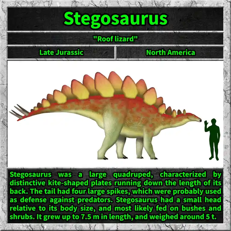 The image displays a digital illustration of a Stegosaurus dinosaur with distinctive kite-shaped plates along its back and…
