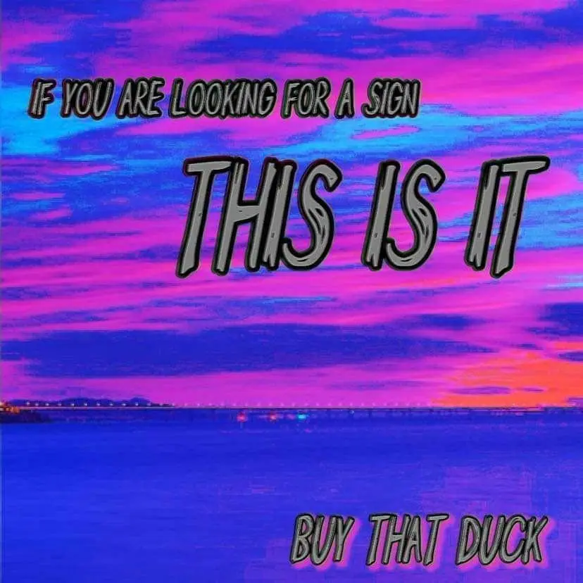 A vibrant, stylized image of a purple and blue sunset or sunrise over water with a distant city skyline. Overlaid text in a…