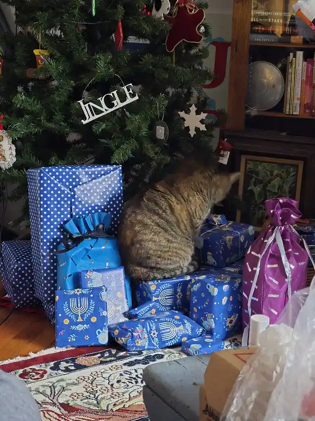 A tabby cat sits atop a pile of wrapped gifts under a decorated Christmas tree, which has a 'JINGLE' ornament. Many gifts…