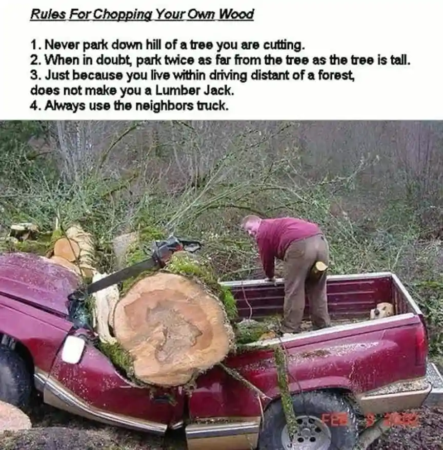 A red pickup truck is severely damaged, with a large tree trunk embedded in its side and front. A man in a maroon shirt and…