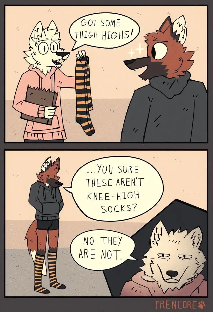 Struggles of a Maned Wolf: A Day in the Life