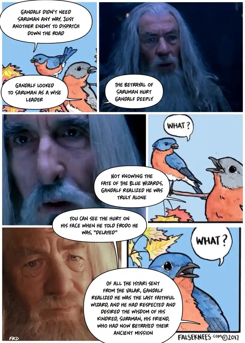 A comic strip featuring Gandalf the Grey from Lord of the Rings with overlaid text that humorously reinterprets his…