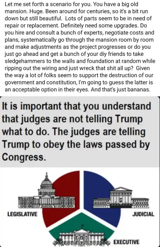 The image displays a three-part diagram showing the U.S. government's three branches: Legislative (red, Capitol building)…