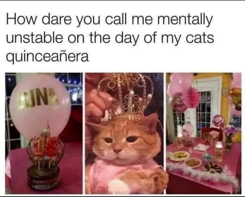 A triptych image shows a pink-themed celebration for a cat named Luna, featuring a balloon with her name, a cat wearing a…