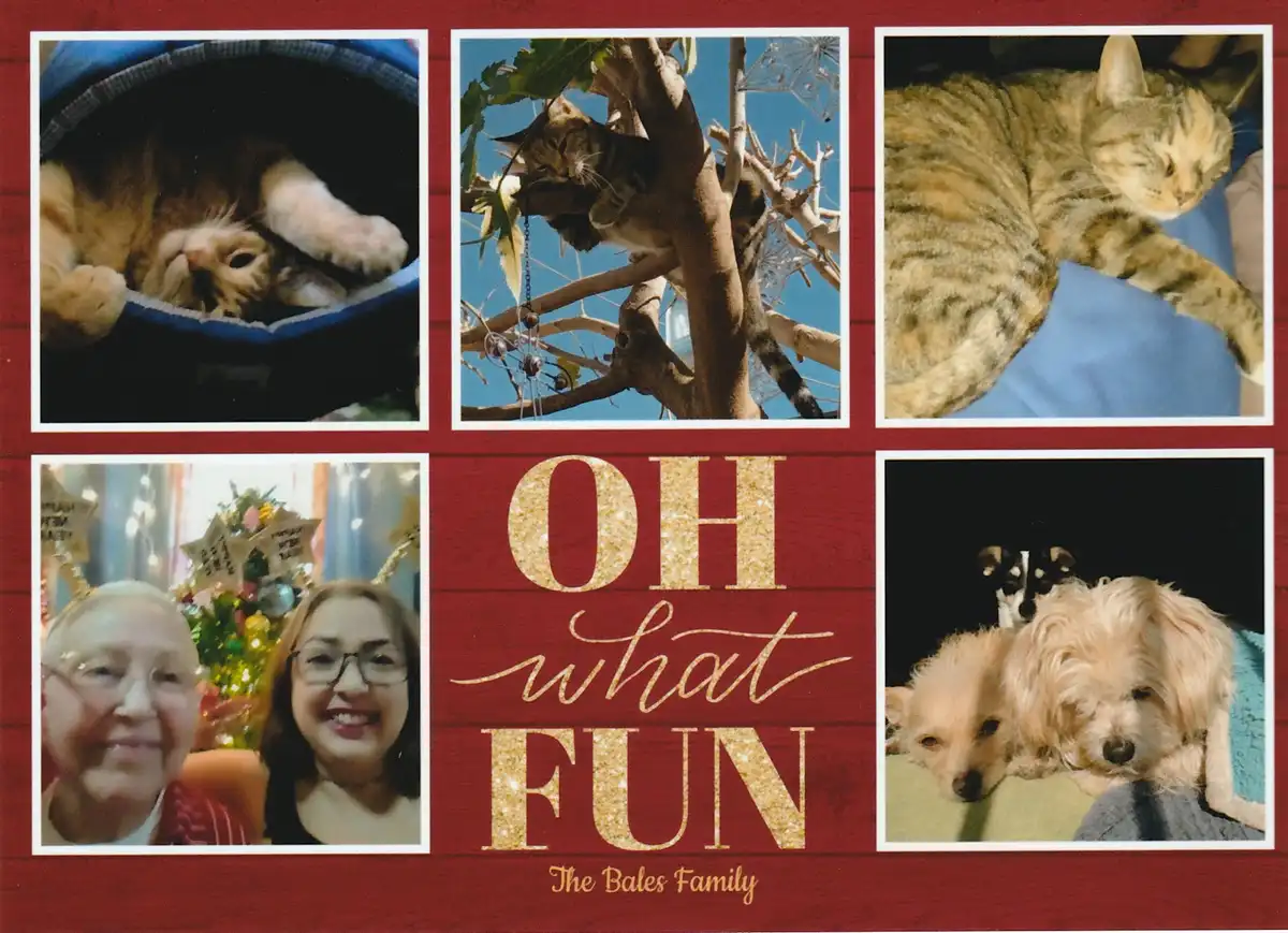 A Merry Christmas to You, with a Hint of Confusion!