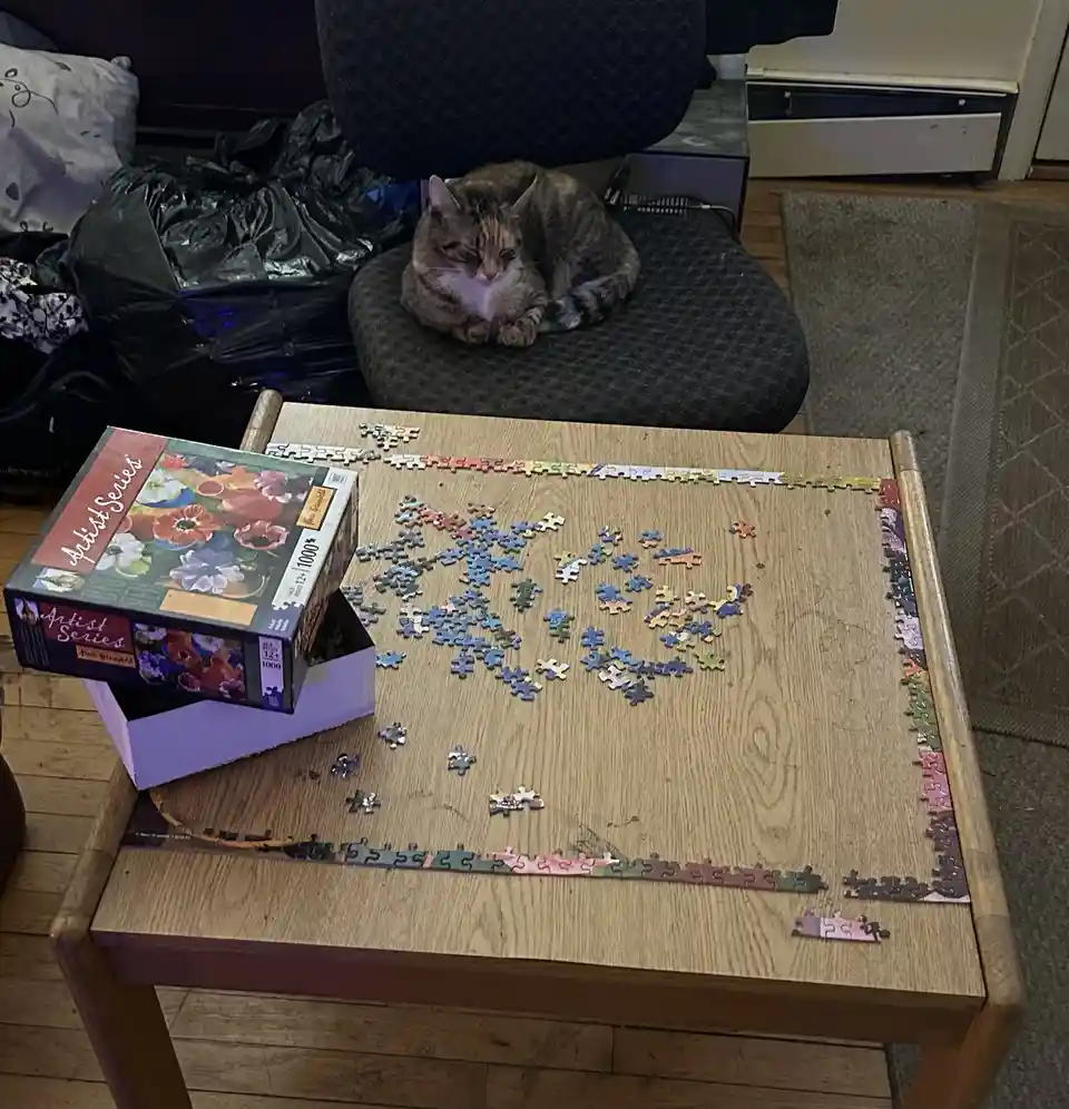 A tabby cat sleeps peacefully on a dark office chair behind a wooden table where a 1000-piece puzzle is partially assembled…