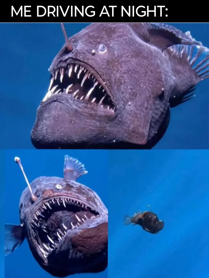 The image is a three-panel meme featuring a dark, deep-sea anglerfish with a large, toothy mouth and a glowing lure. The top…