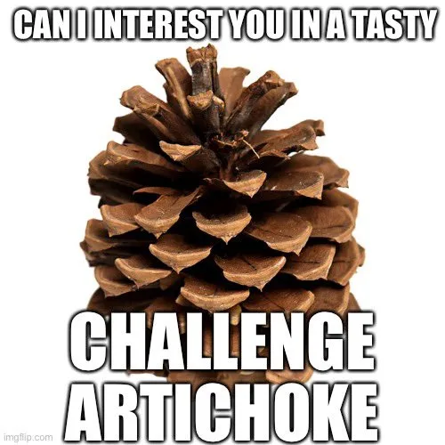 A close-up image of a brown pinecone against a white background, with bold white text overlaid at the top and bottom. The…