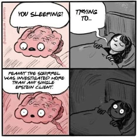 A four-panel comic strip shows a cartoon brain asking a sleeping girl if she's sleeping, she replies 'trying to...'. The…