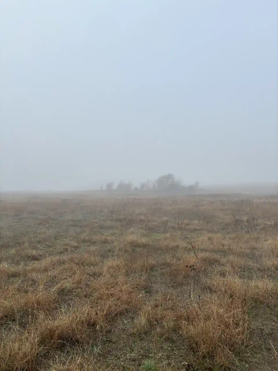 Can you spot the tank? You have just 5 seconds to find it!