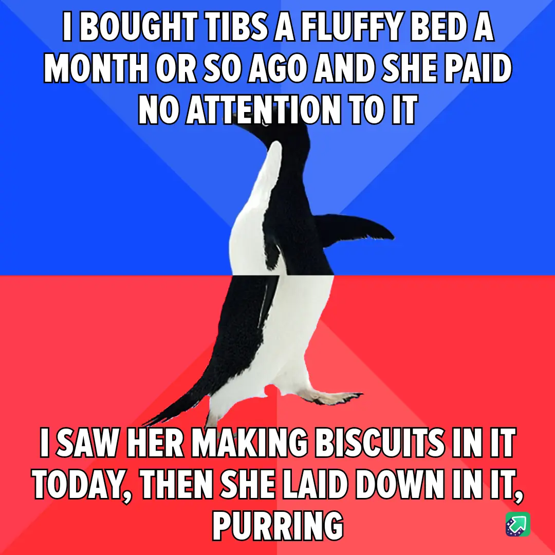 A penguin stands centered against a blue and red background, split horizontally. White bold text overlays the image in two…