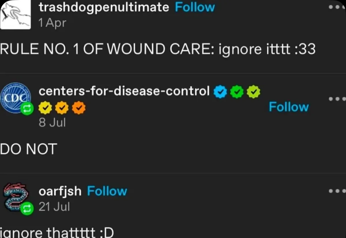 A screenshot of three social media posts in a feed. The top post from 'trashdogpenultimate' says 'RULE NO. 1 OF WOUND CARE…