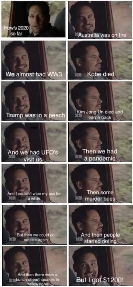 A vertical comic strip of 12 panels showing a man in a car, smiling or looking pleased as he lists absurd 2020 events like…