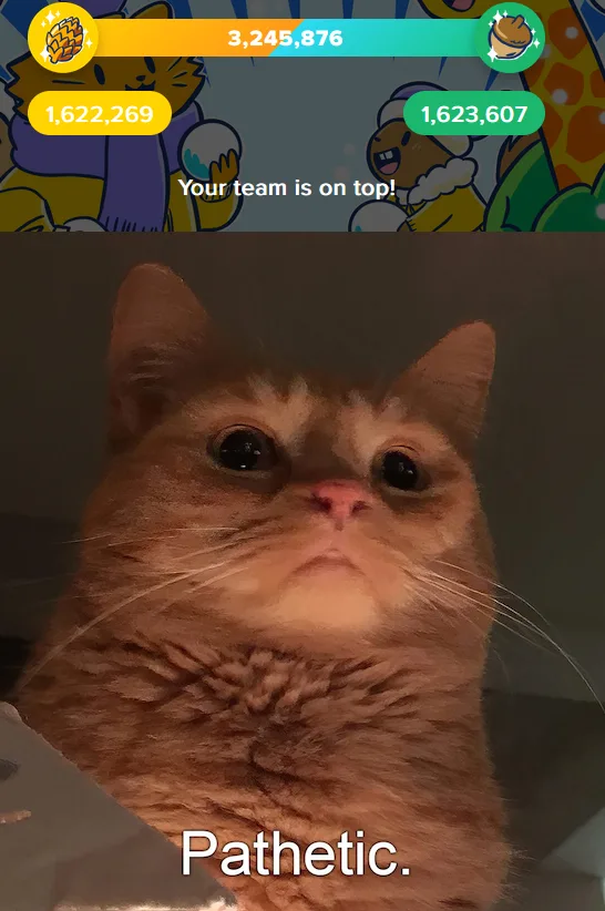 The image shows a close-up of a fluffy, orange tabby cat with wide, unimpressed eyes and a slightly downturned mouth…