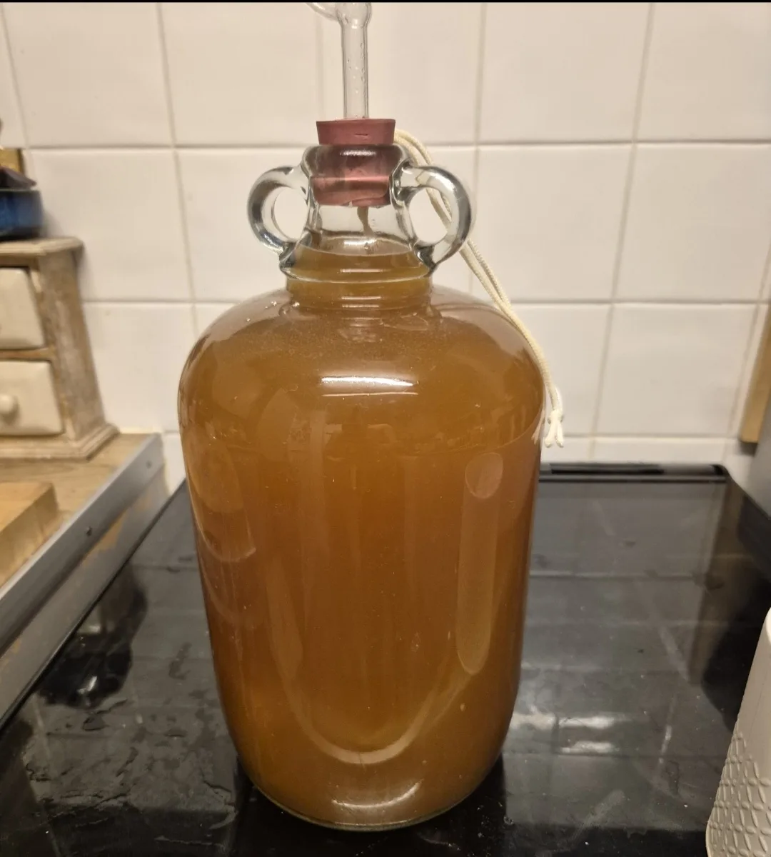 A large glass carboy filled with amber-colored liquid sits on a black stovetop, sealed with a red rubber stopper and an…