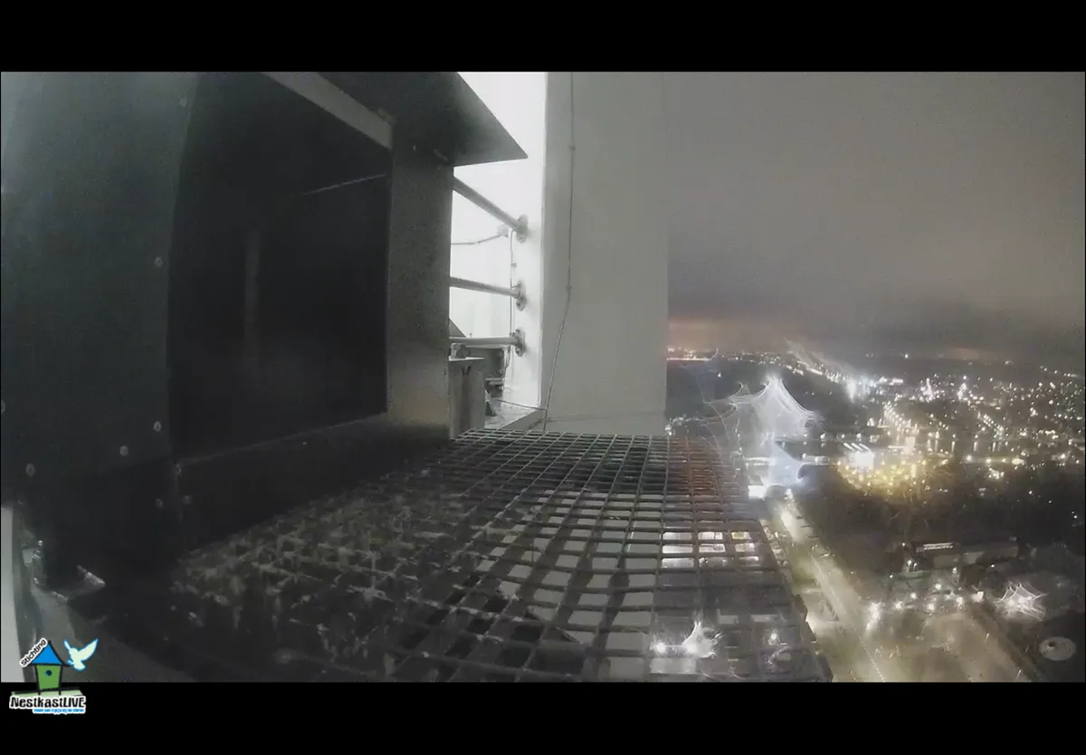 A nighttime security camera view from a high vantage point, showing a metal grate floor and a large black box, overlooking a…