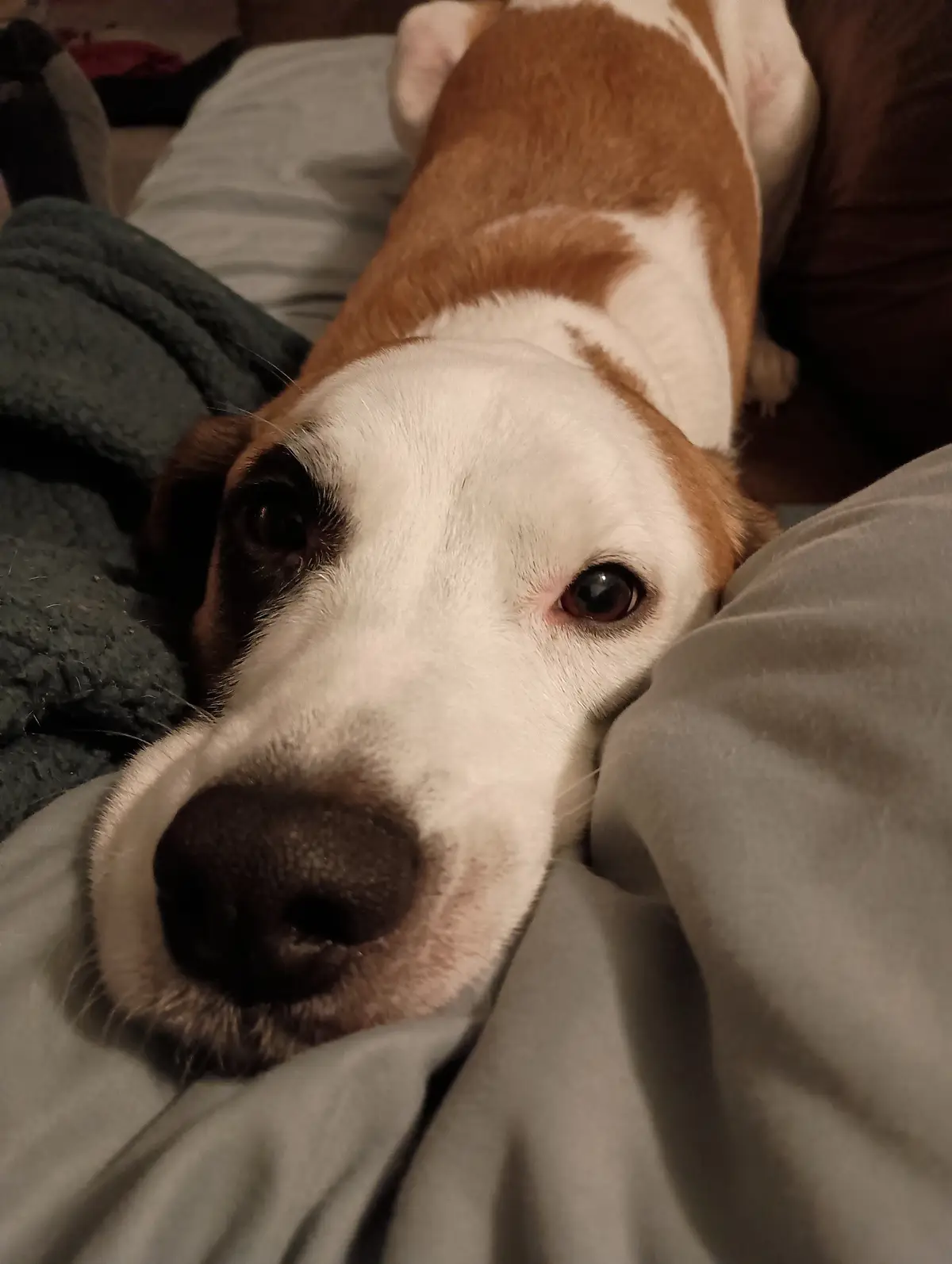 From a Mattress on the Floor to My Own Apartment: Ari's Journey
