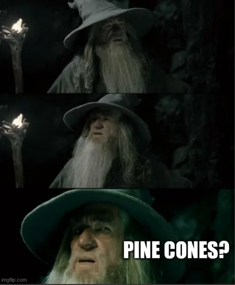 Imgur Users Today: A Mixed Bag of Reactions...