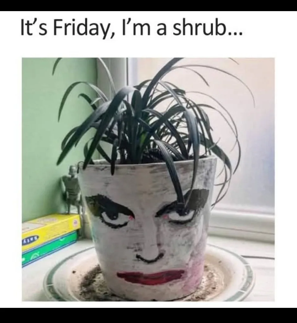 A potted plant with long, dark, spiky leaves sits in a white ceramic pot painted to resemble a human face with intense eyes…