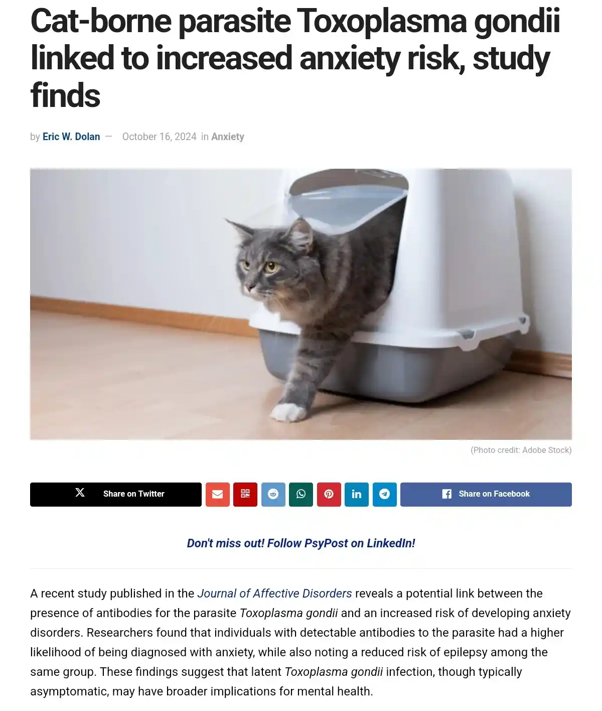 A gray tabby cat with a white paw is stepping out of a white and gray litter box on a wooden floor, looking sideways with a…