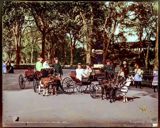 An old colorized photograph shows two horse-drawn carriages in Central Park, New York, each pulled by two goats instead of…