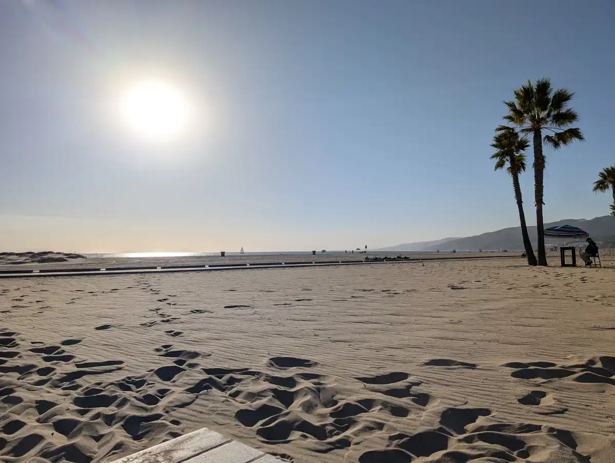A bright, sunny beach scene with footprints leading toward the ocean, palm trees, and a person sitting under an umbrella…