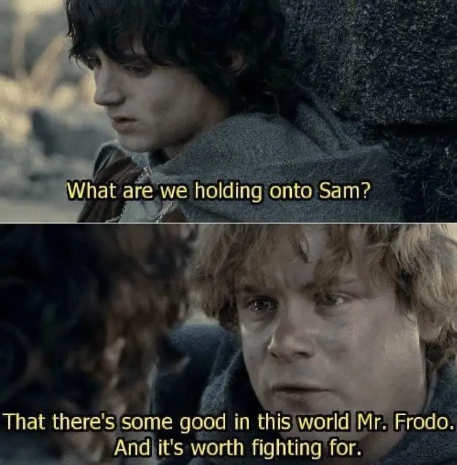 The image is a two-panel meme from 'The Lord of the Rings' featuring Frodo and Sam. In the top panel, Frodo asks Sam, 'What…
