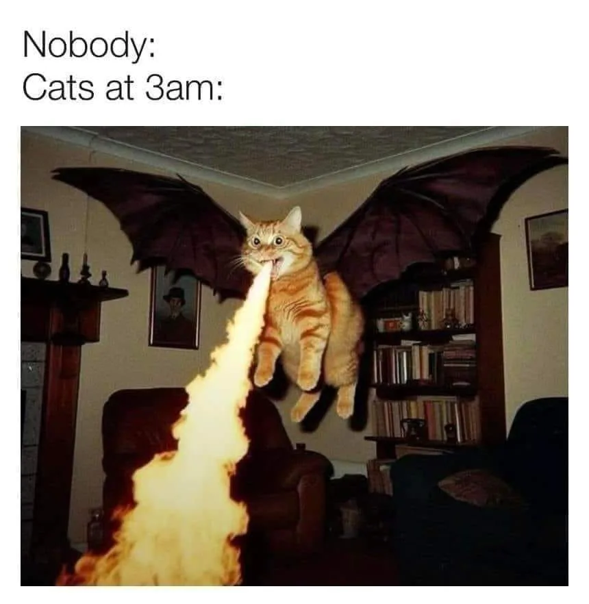 An orange tabby cat with large black bat wings is suspended in mid-air inside a dimly lit living room, exhaling a large…