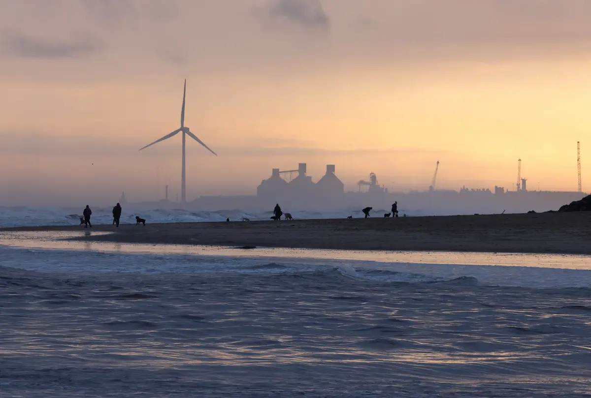 A serene beach scene at sunset with silhouettes of people and dogs walking along the shore. In the background, a large wind…