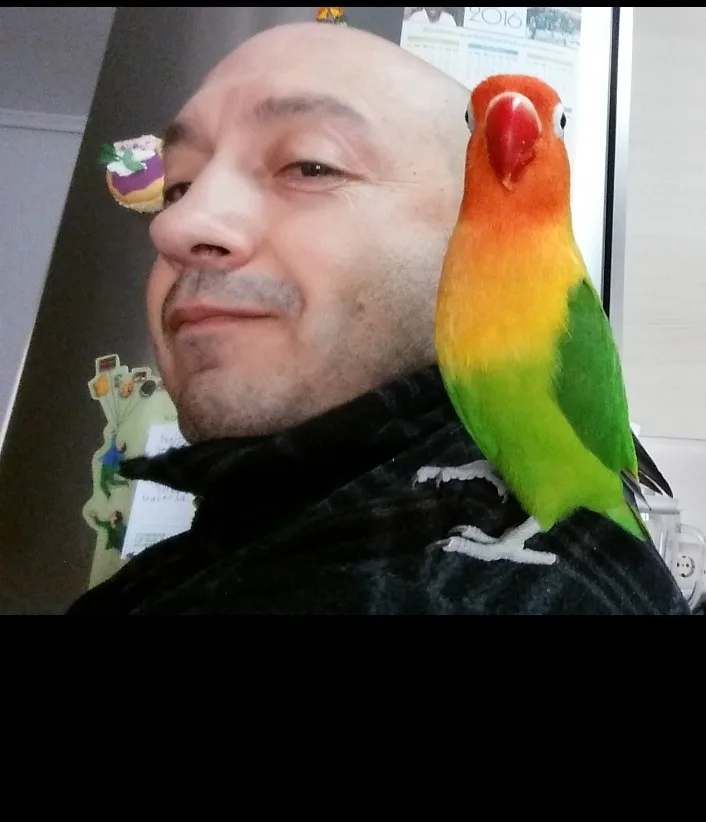 A bald man in a black jacket has a colorful lovebird perched on his shoulder, looking at the camera. The bird has orange-red…