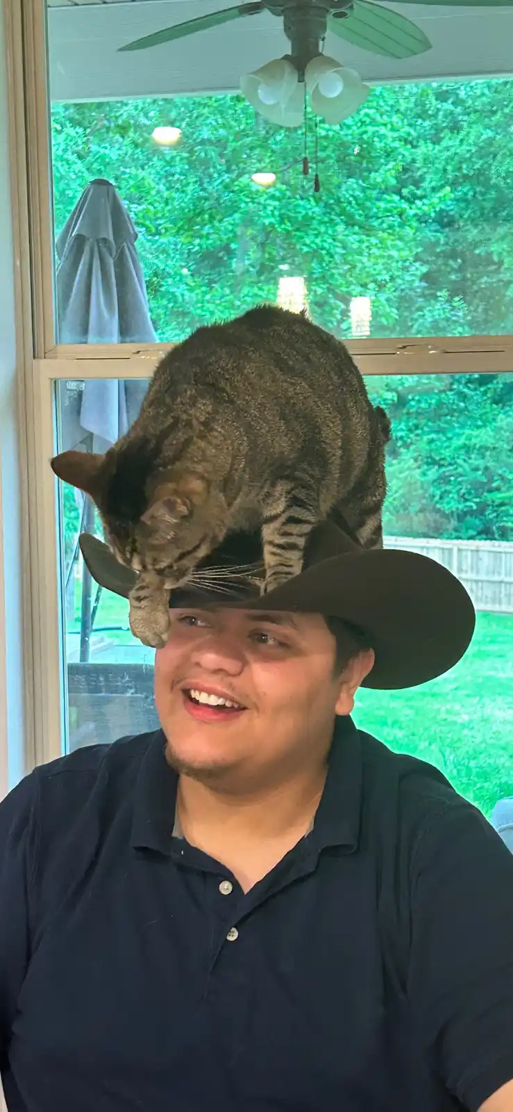 A smiling man wearing a dark cowboy hat has a large tabby cat perched on top of his head, looking down. The man is indoors…