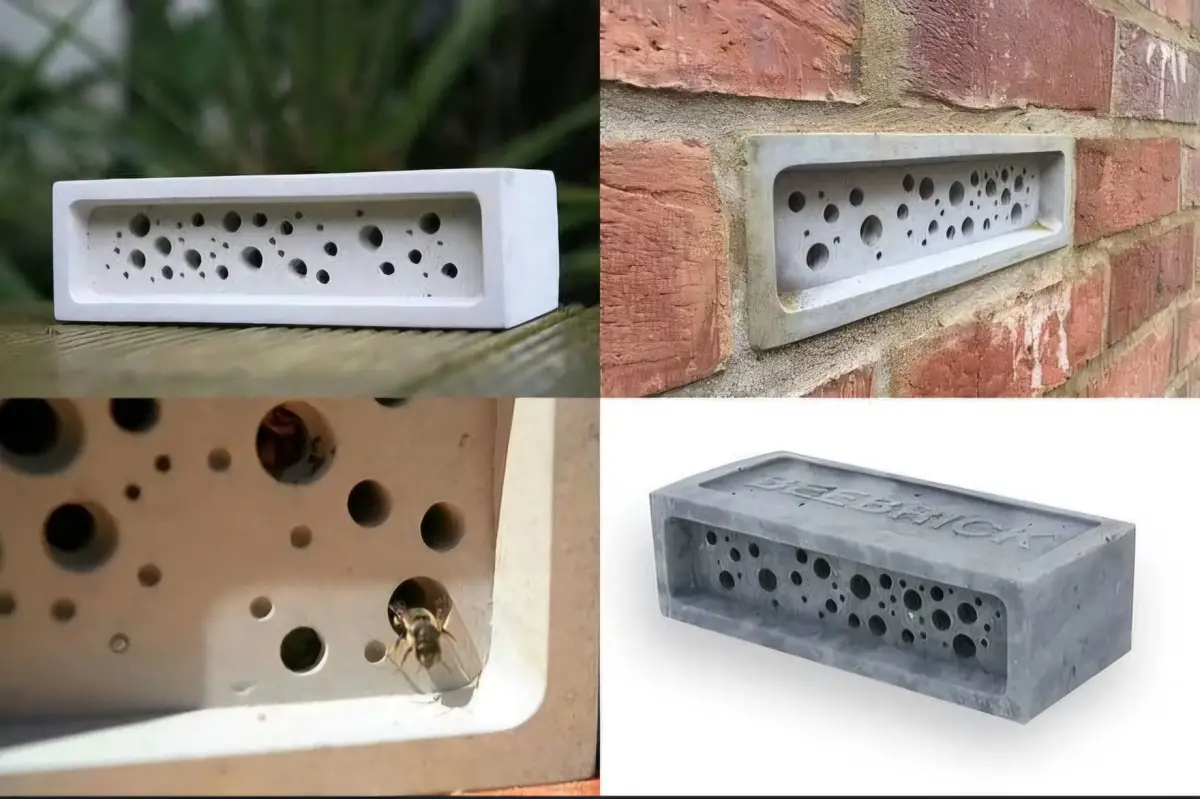 A collage of four images showing a concrete brick with holes designed as a bee hotel, displayed on a wooden surface, mounted…