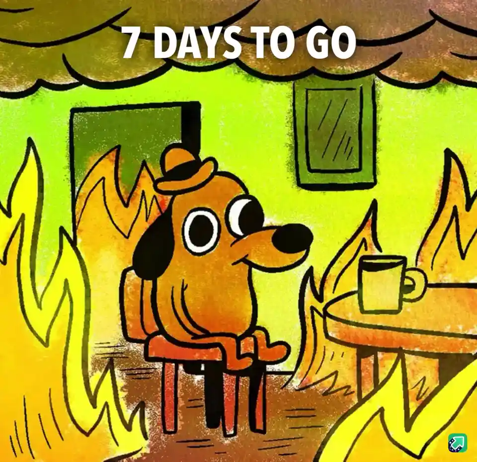 A cartoon dog wearing a hat sits calmly on a chair in a room engulfed in flames, holding a mug, with the text '7 DAYS TO GO'…