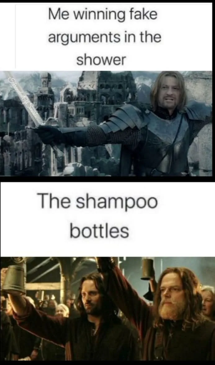 The meme features two images from 'The Lord of the Rings'. The top panel shows Aragorn in armor, holding a sword and looking…