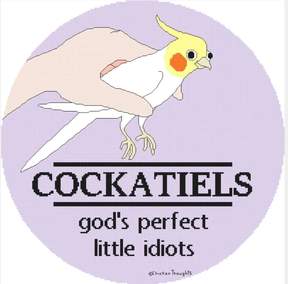 A stylized illustration of a cockatiel perched on a human hand against a light purple circular background. The bird has a…