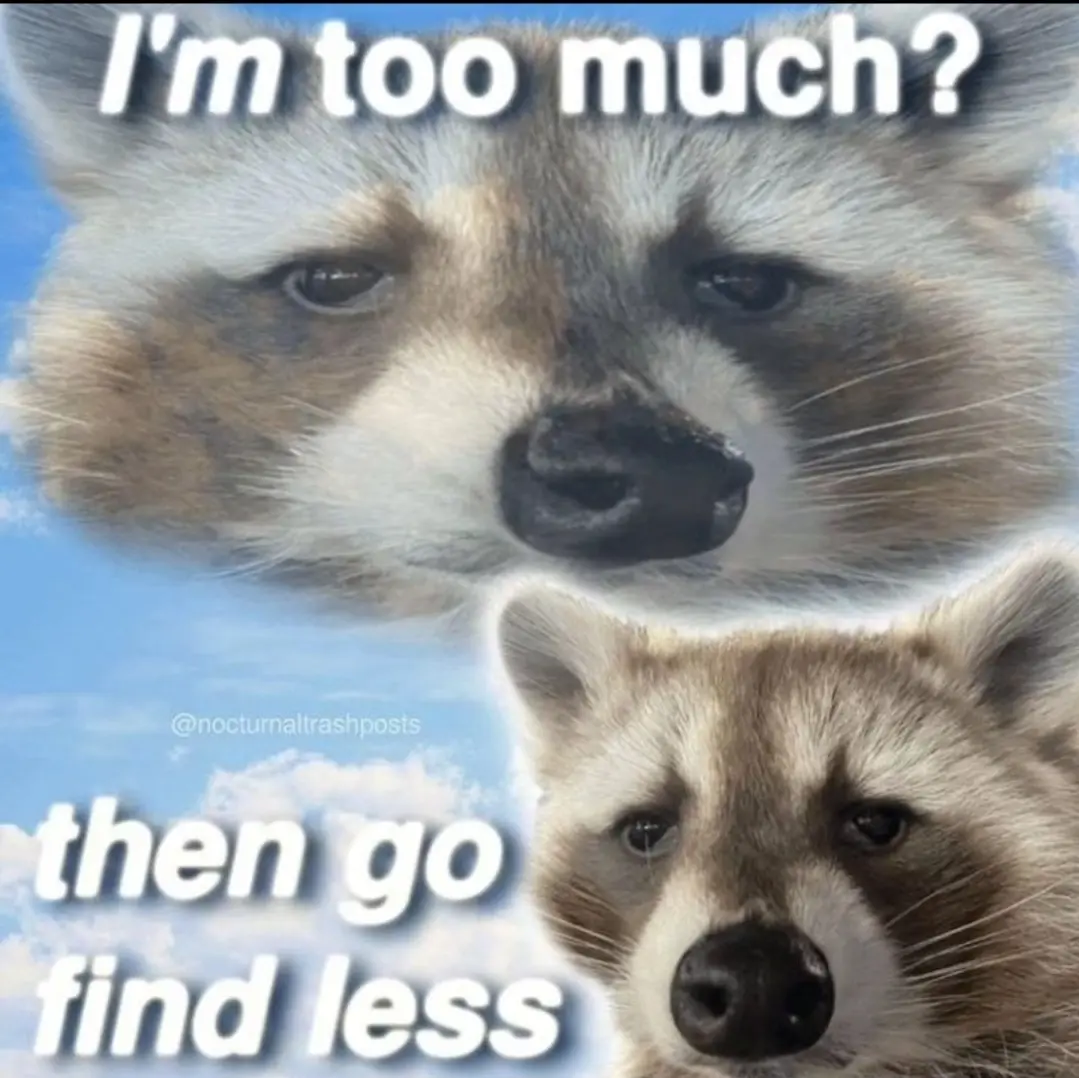 The image features two raccoons against a blue sky with clouds. The top raccoon has a sad, questioning expression with the…