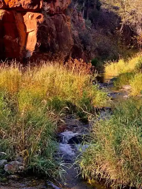 A serene natural scene shows a small stream flowing through tall grasses beside reddish-brown rock formations, with sunlight…