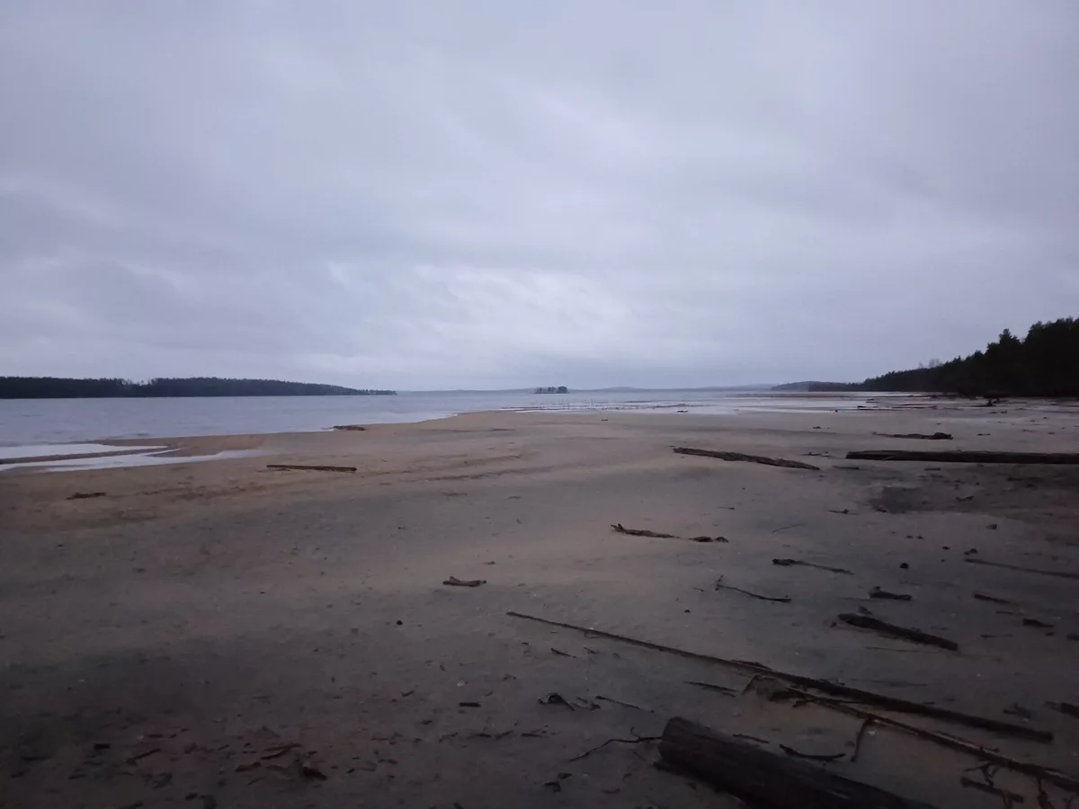 A wide, desolate beach under an overcast sky, with wet sand, scattered driftwood, and distant treelines on either side of…