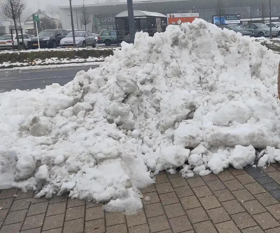Winter Woes: The Struggles of Cold Weather