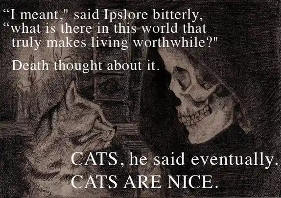 A dark, sketch-style image shows a cat looking up at a skeletal figure in a hood, resembling Death. White text overlays the…