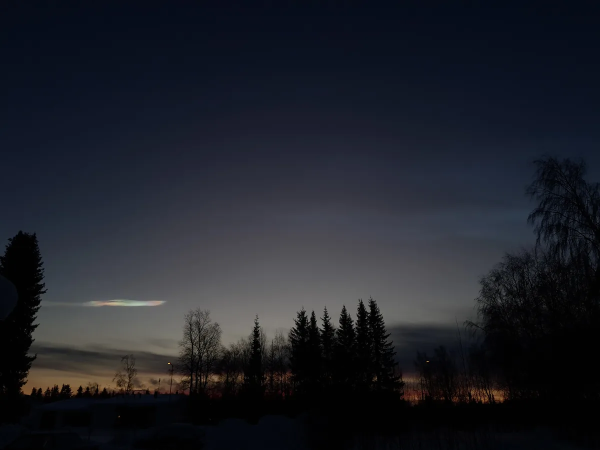 A dark winter twilight scene with silhouetted trees and a snow-covered landscape, featuring a thin, iridescent…