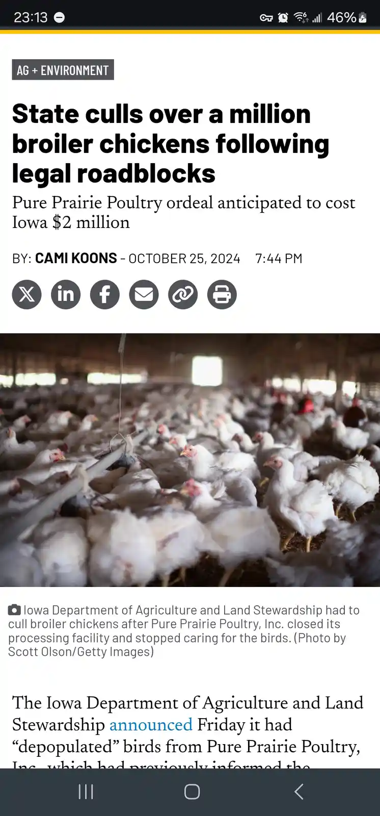 A screenshot of a news article about Iowa culling over a million chickens due to a poultry company shutting down. The image…