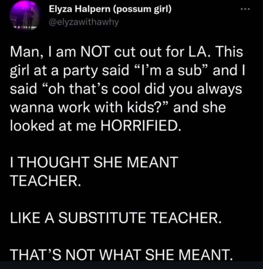 A black-background image displays white text from a social media post by 'Elyza Halpern (possum girl)'. The text recounts a…
