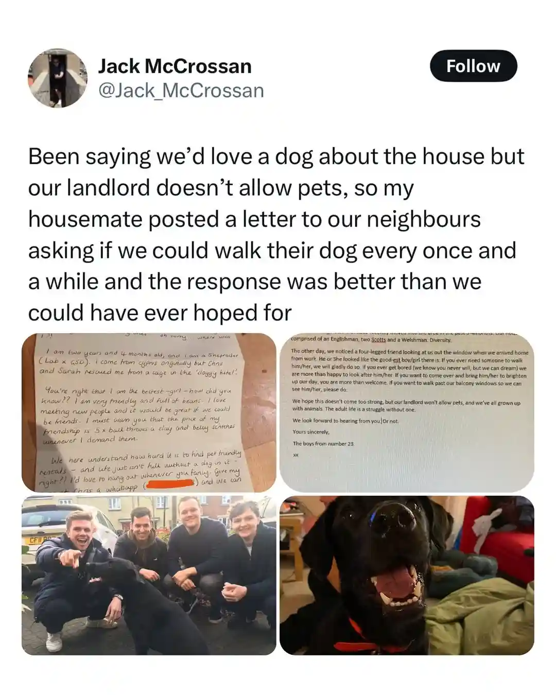 A social media post by Jack McCrossan shows four photos: a handwritten letter from a dog introducing itself, a typed letter…
