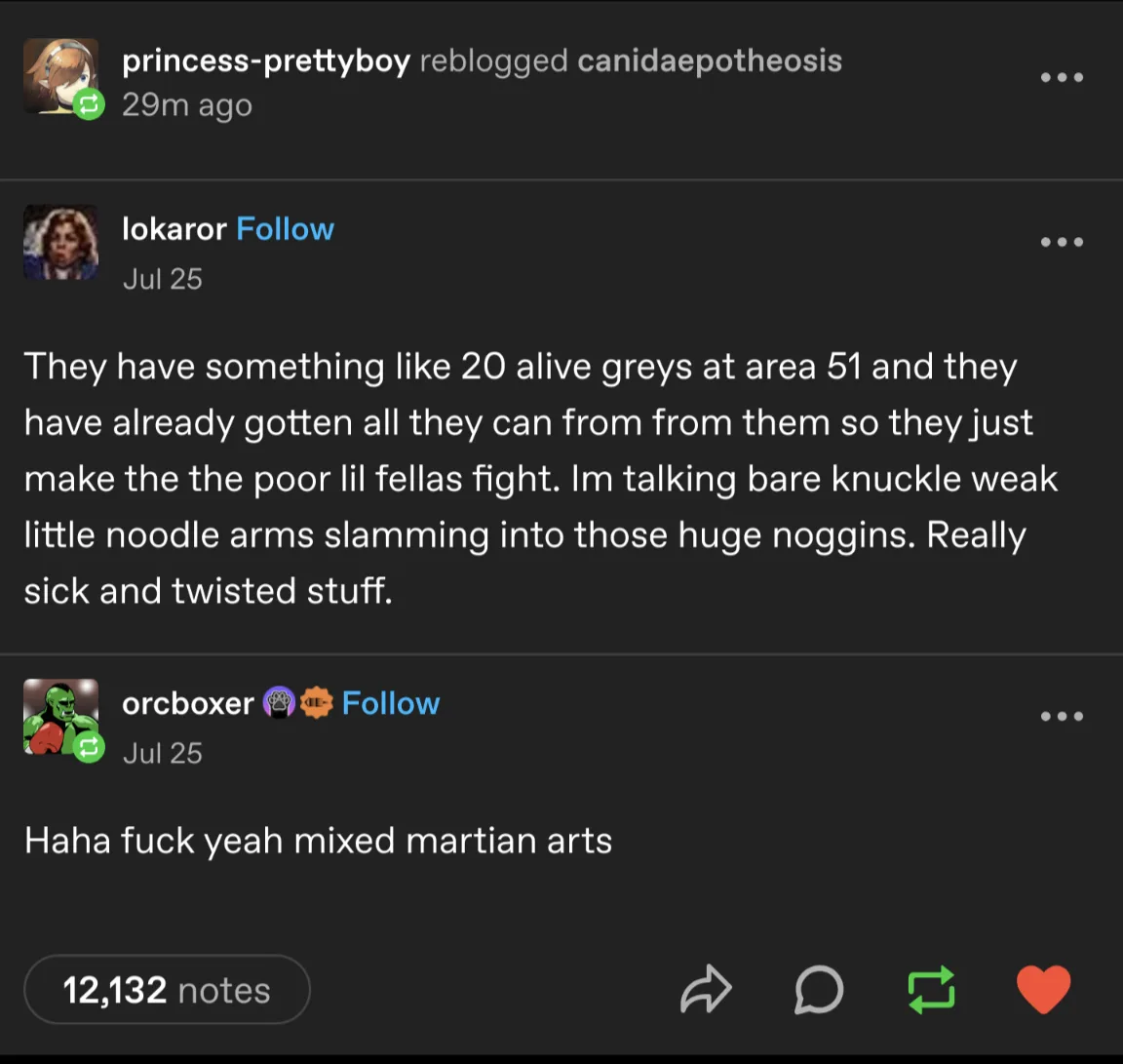 A Tumblr post screenshot showing a user named 'lokaror' describing 'alive greys' at Area 51 being forced to fight with 'bare…