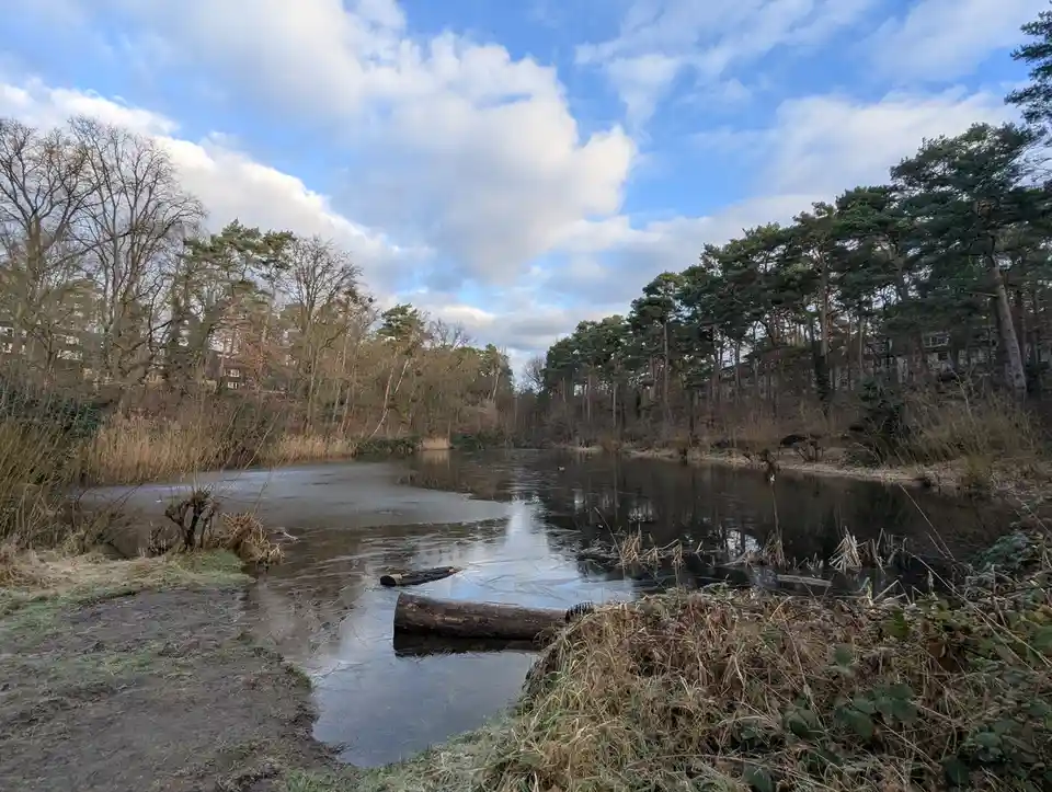 A partially frozen pond in a wooded area with bare trees and a blue sky with clouds, overlaid with the text 'i'm not lazy…